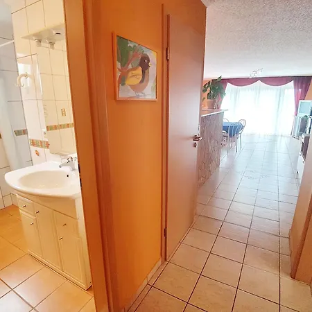 Aniko Nr 7