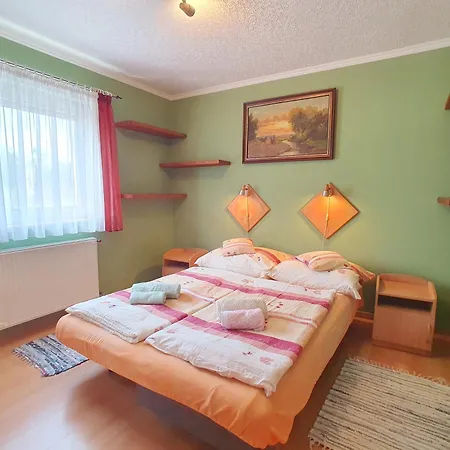Aniko Nr 7